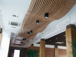 东莞市环保木室内天花吊顶案例