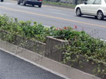 拉萨市生态木市政道路绿化栏工程案例